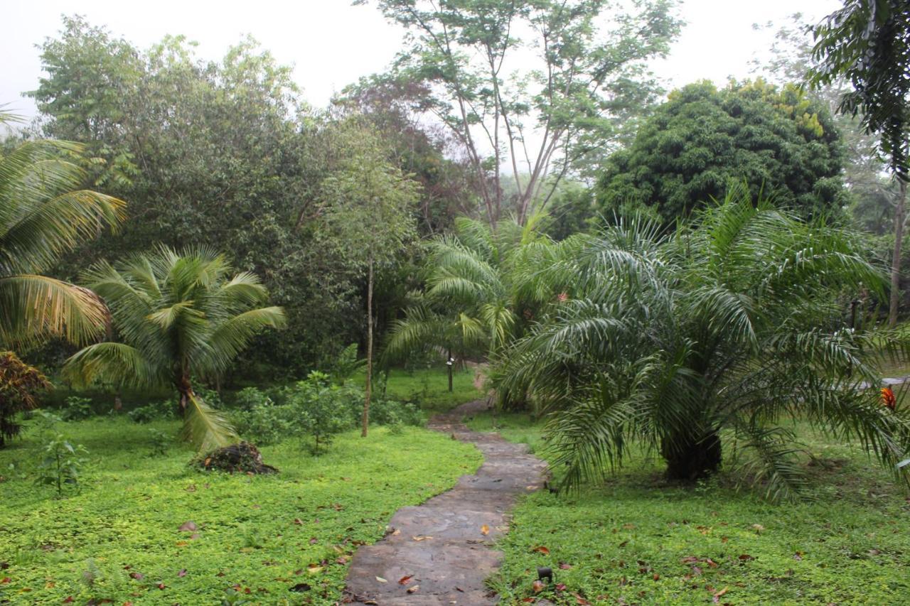 Cordillera Escalera Lodge Tarapoto Εξωτερικό φωτογραφία